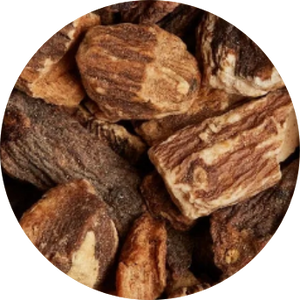 Chaga Mushroom