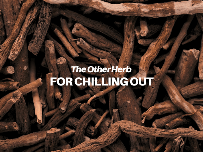 Ashwagandha: Ancient Plant, Modern Chill Pill