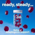 Floating apple gummies from Dose Labs It’s All Good Ashwagandha Gummies, highlighting adaptogenic mood support with 3,000mg ashwagandha and vitamin B6.