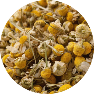 Chamomile