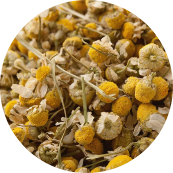 Chamomile